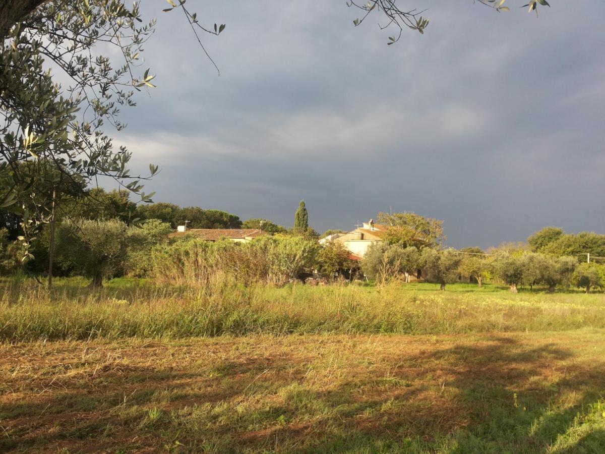 Casa Daria, Armonia Del Passato Nel Rispetto Della Natura Donoratico Kültér fotó